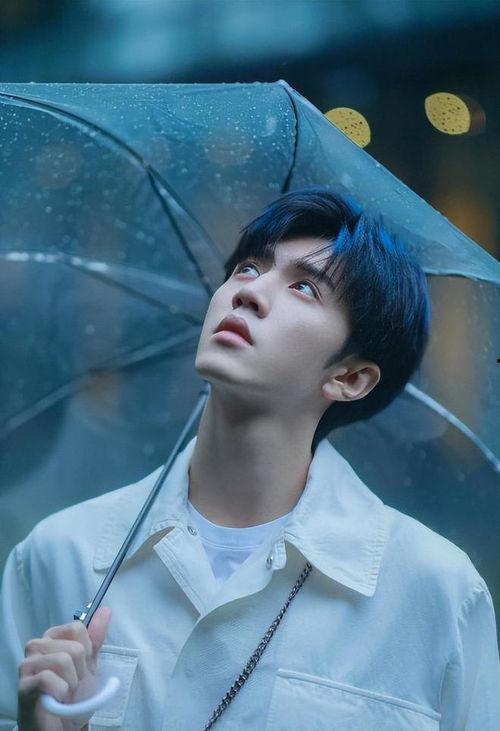 陈哲远爆料沈月了吗视频,视频曝光背后真相