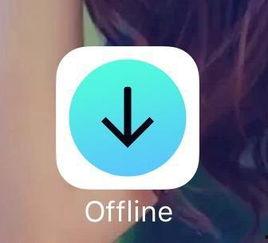 爆料类小视频大全下载软件 第3张 爆料类小视频大全下载软件 第3张